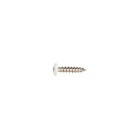 Fastex 125400190040 Bleckskruv 1000-pack, Stainlex, 4,0 x 19 mm Blank