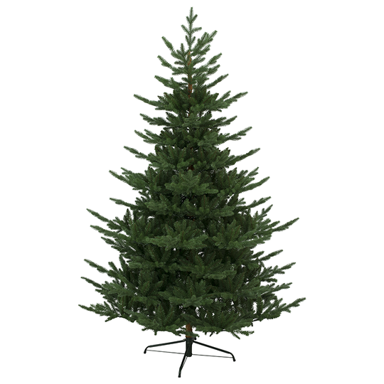 JULGRAN BREKSTAD Star Trading