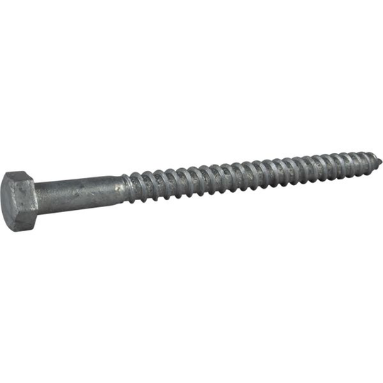 ESSVE 504473 Träskruv Ø12 mm, fransk, T6S, FZV 160 mm, 20-pack